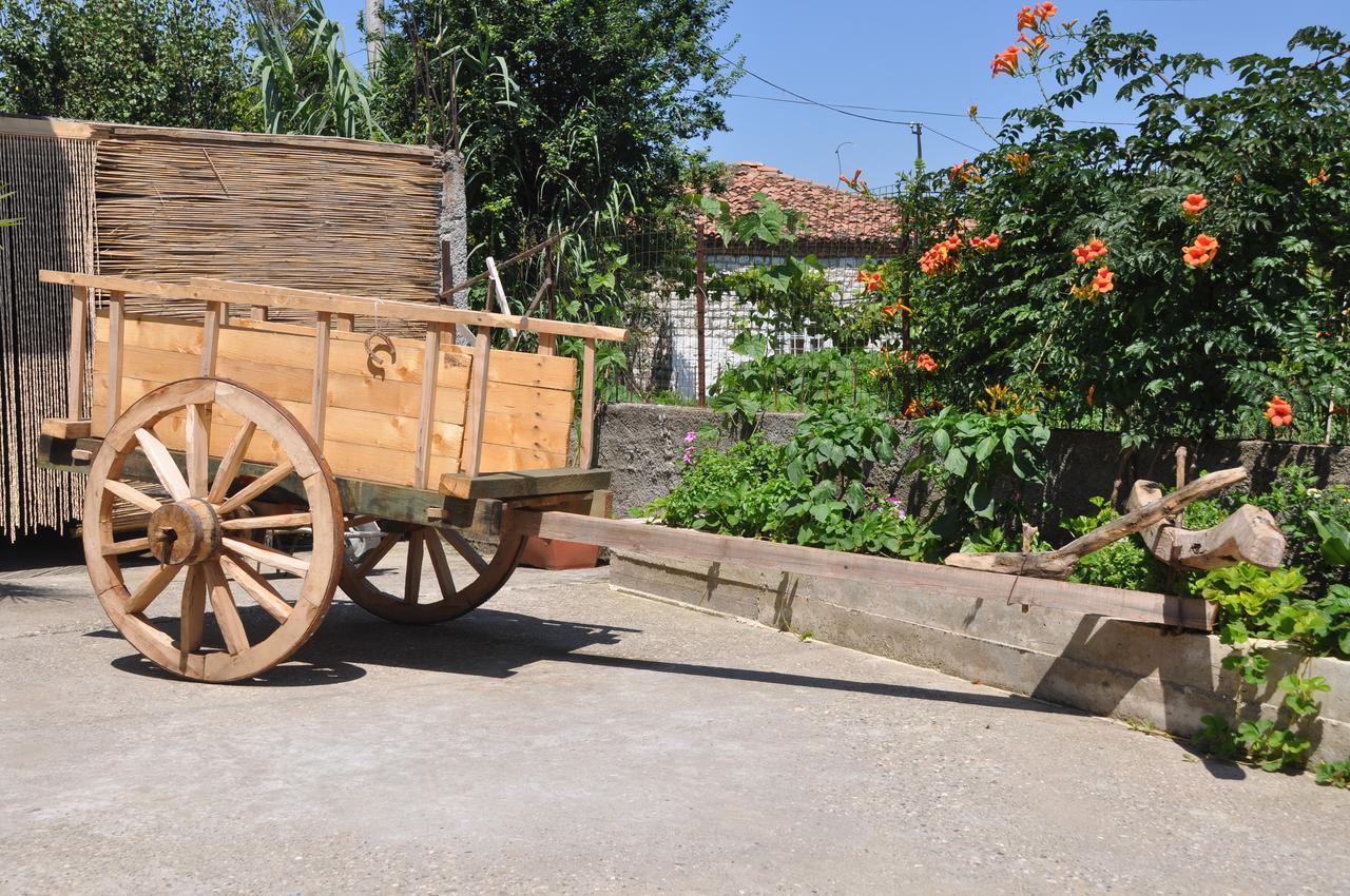Bed & Breakfast Local Living Edi Berat Bagian luar foto